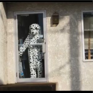 Meet your Posher, Zeph